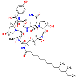 Structure of Pneumocandin B0 CAS 135575 42 7 - Pneumocandin B0 CAS 135575-42-7